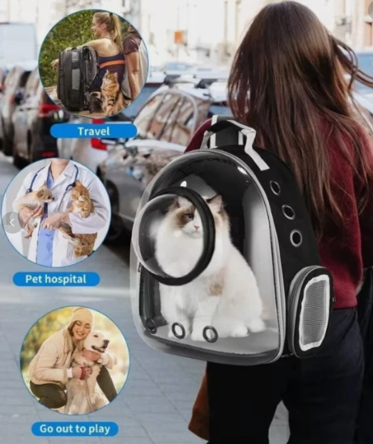 Kedi Sırt Çantası - Uzay Kapsülü 🐱🎒 Şeffaf - Dış Mekan Siyah